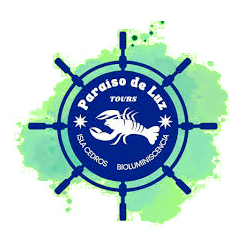 Paraíso-de-luz